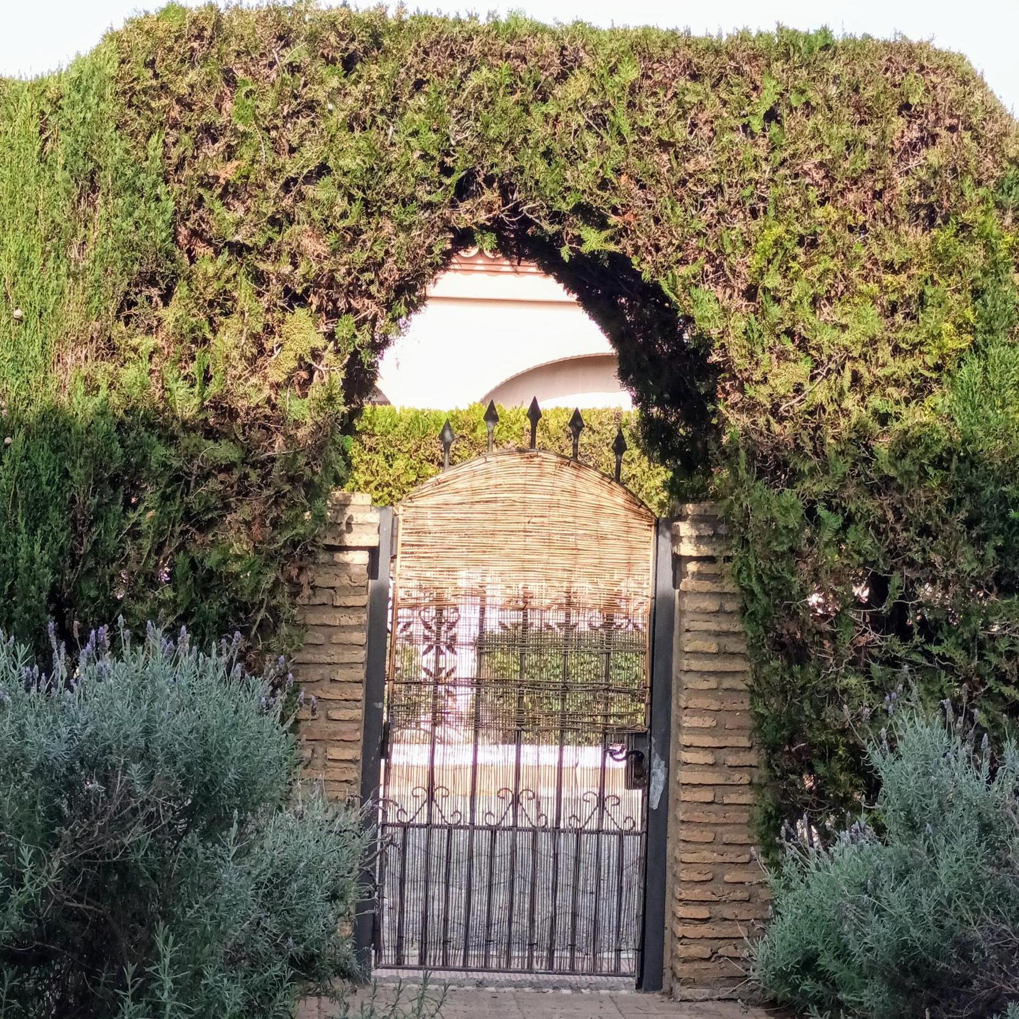 Hispalis Villa En Matalascañas Exteriér fotografie